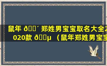 鼠年 🌴 郑姓男宝宝取名大全2020款 🌵 （鼠年郑姓男宝宝取名大全2020款怎么取）